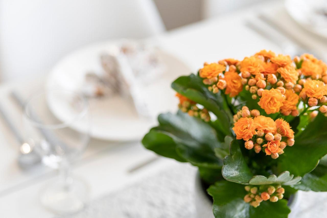 Vasko Luxurious Suites, Kelo Rovaniemi Eksteriør billede